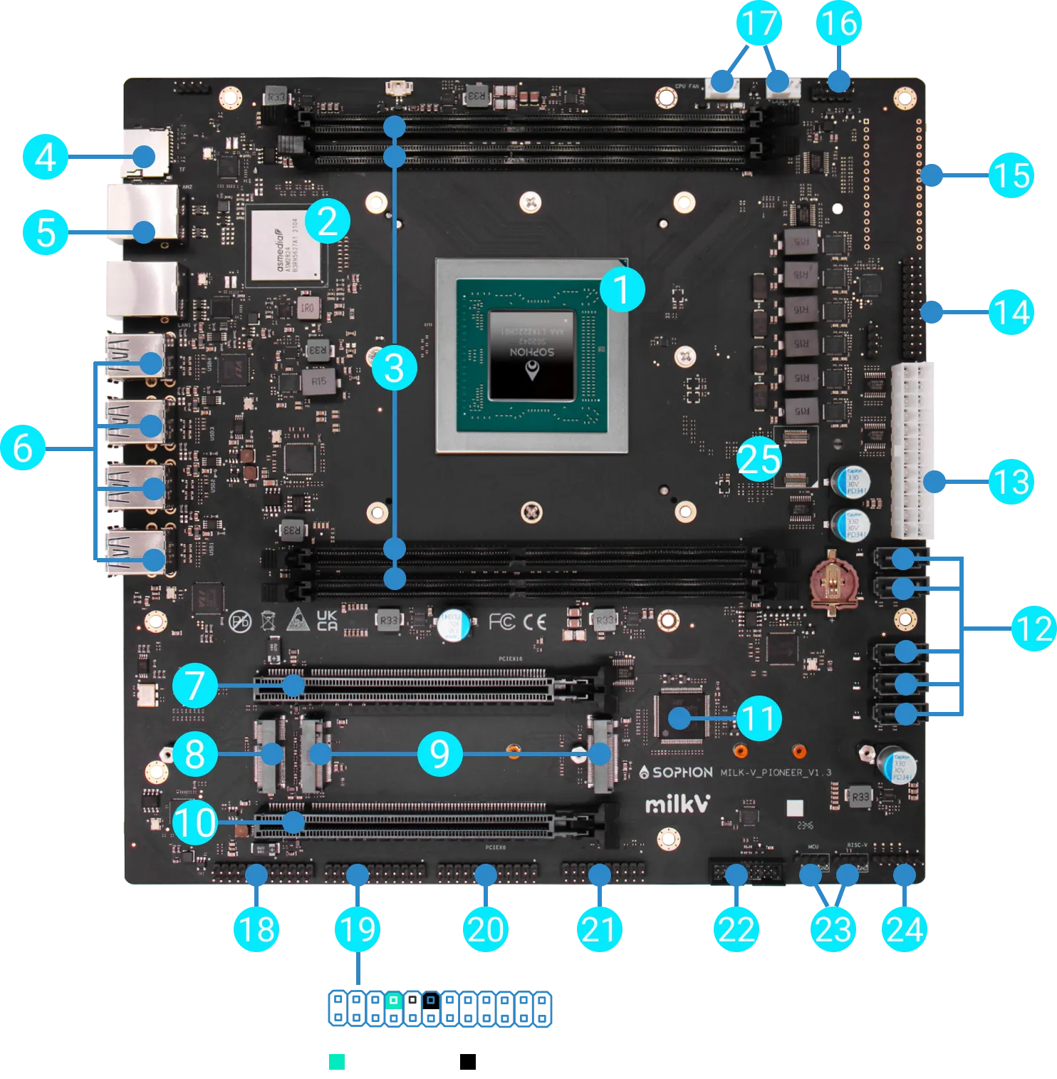 Pioneer Board